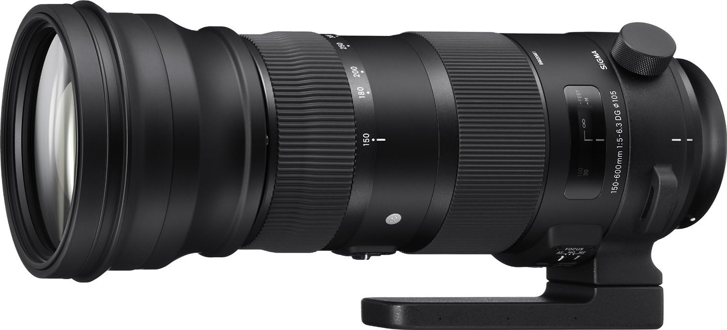 Sigma 150-600mm F5-6.3 S DG OS HSM