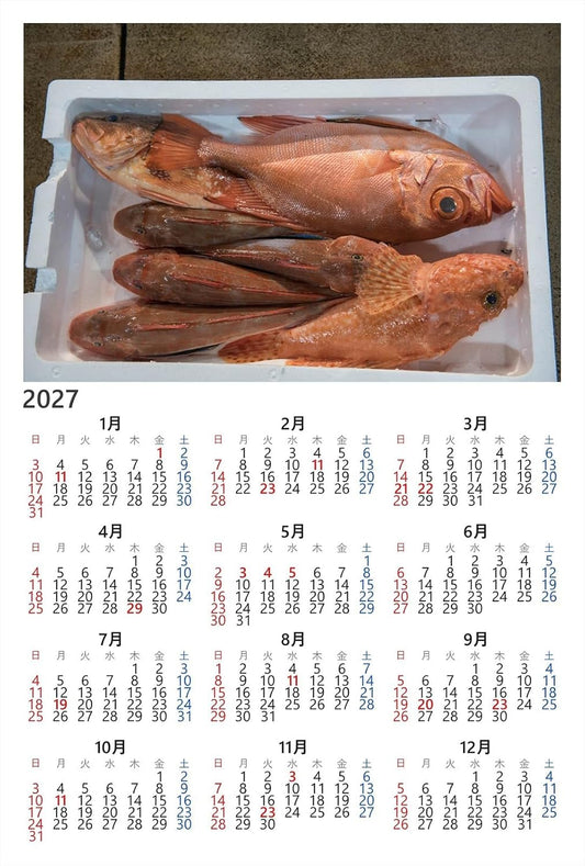 【2027年カレンダー】【食のポストカード】山口県下関市 唐戸市場の箱に並ぶ朝獲れの鮮魚 はがき お土産 ハガキ 撮影/daikegoro