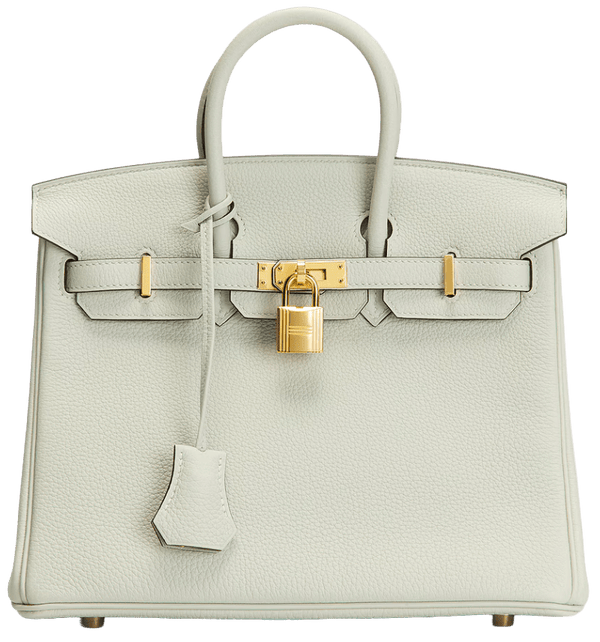 HERMÉS TOGO 'GRIS NEVE' BIRKIN 25 2023 HANDBAG