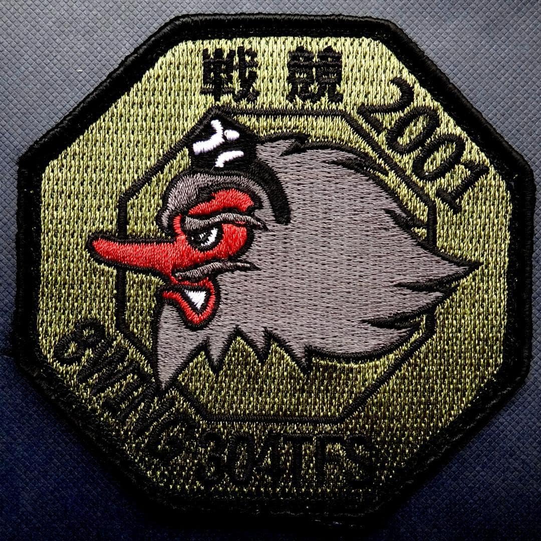 航空自衛隊 F-15 第304飛行隊 2001戦技競技会 ワッペン ②