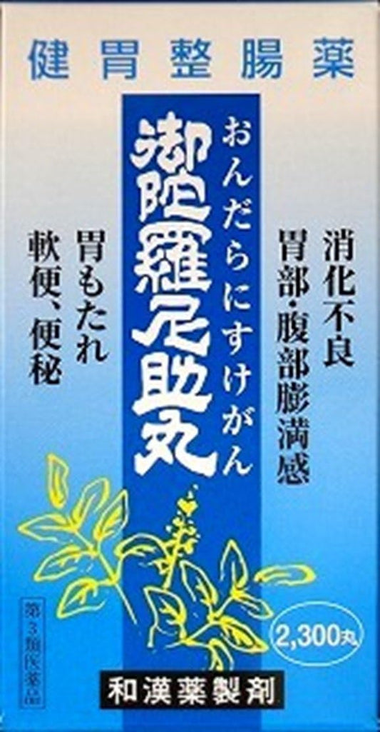 【第3類医薬品】御陀羅尼助丸 2300丸