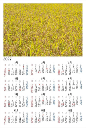【2027年カレンダー】【日本風景ポストカード】山口県 稲穂 photo by daikegoroフォトカードお土産に４