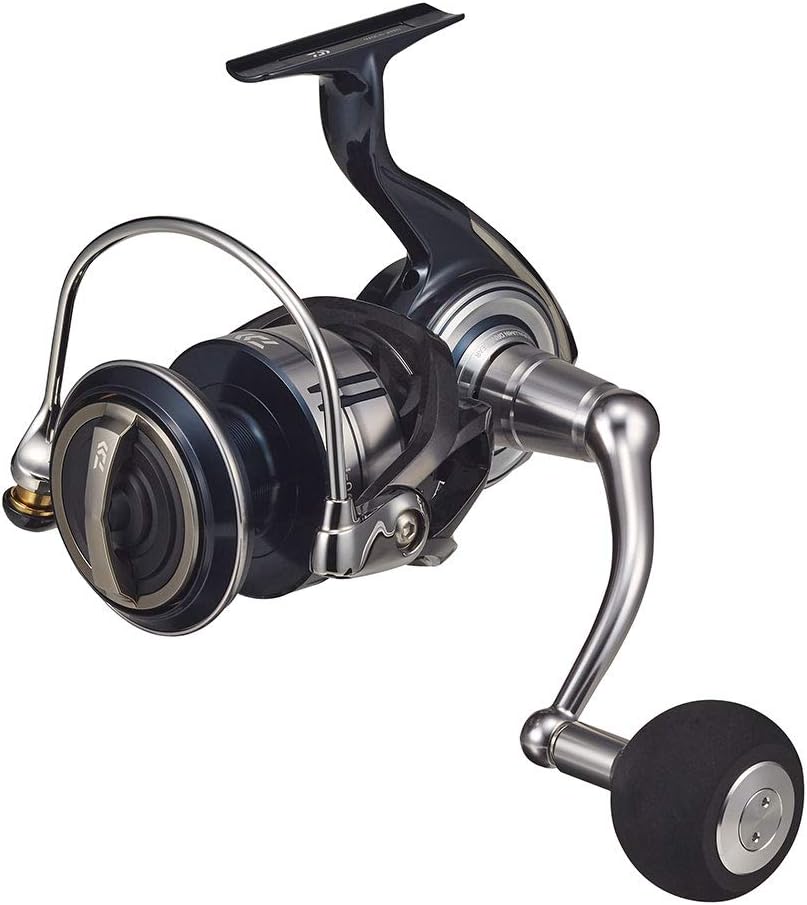 Daiwa Spinning Reel 21 Celtate SW Shore Offshore Jigging Casting (2021 Model)