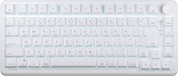 AIM1 Shun MATATAKI Rapid Trigger 8000Hz Polling Rate Wired 75% Size Backlit LED Gaming Keyboard Magnetic Switch (Japanese Array)