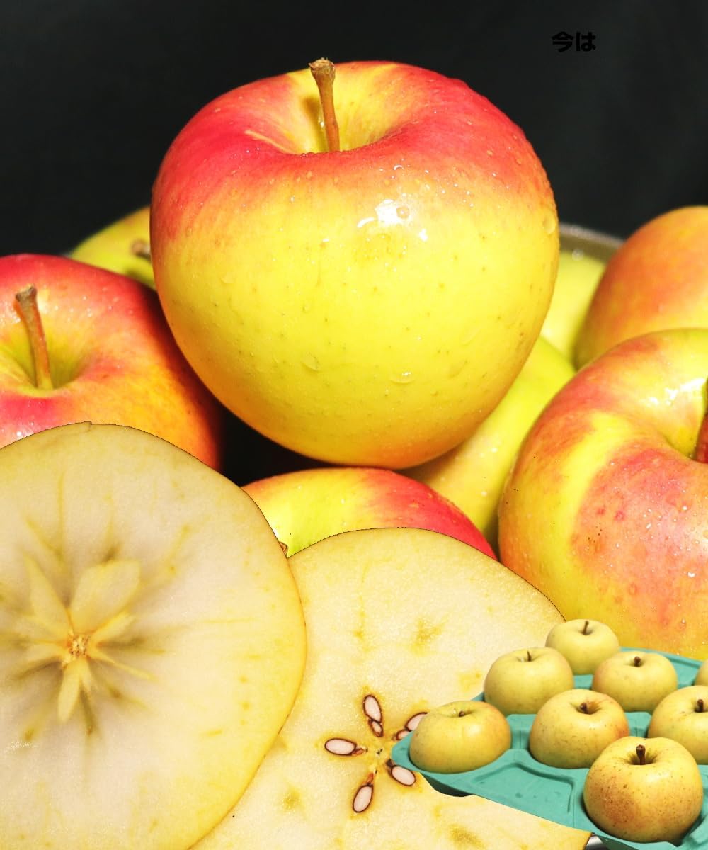 Aomori Prefecture, Rookie Shop, 6.6 lbs (3 kg) Box, Gumma Nazetsuki Apples, For Home Use, 6.6 lbs (3 kg) Box of Aomori Prefecture, Various Large and Large