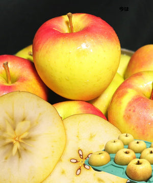Aomori Prefecture, Rookie Shop, 6.6 lbs (3 kg) Box, Gumma Nazetsuki Apples, For Home Use, 6.6 lbs (3 kg) Box of Aomori Prefecture, Various Large and Large