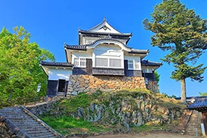 【日本の風景ポストカード】岡山県高梁市 新緑に包まれた備中松山城天守閣３ はがき お土産 ハガキ 撮影/kazukiatuko