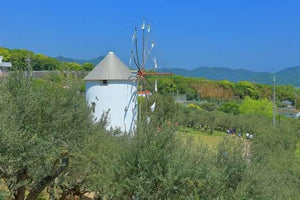 Postcard postcard postcard of Koshodoshima Olive Park 2 Nishimura Shodoshima Town, Shodoshima District, Kagawa Prefecture, Shozu County