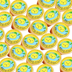 Hiroshima Mika Inshima Hasaku Sherbet, 2.6 oz (75 g), Set of 24, tau Yasasu Sherbet, Orisu Tower, Popular Product, Souvenir