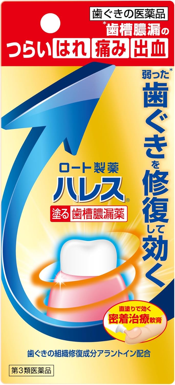【第3類医薬品】ハレス口内薬 15g
