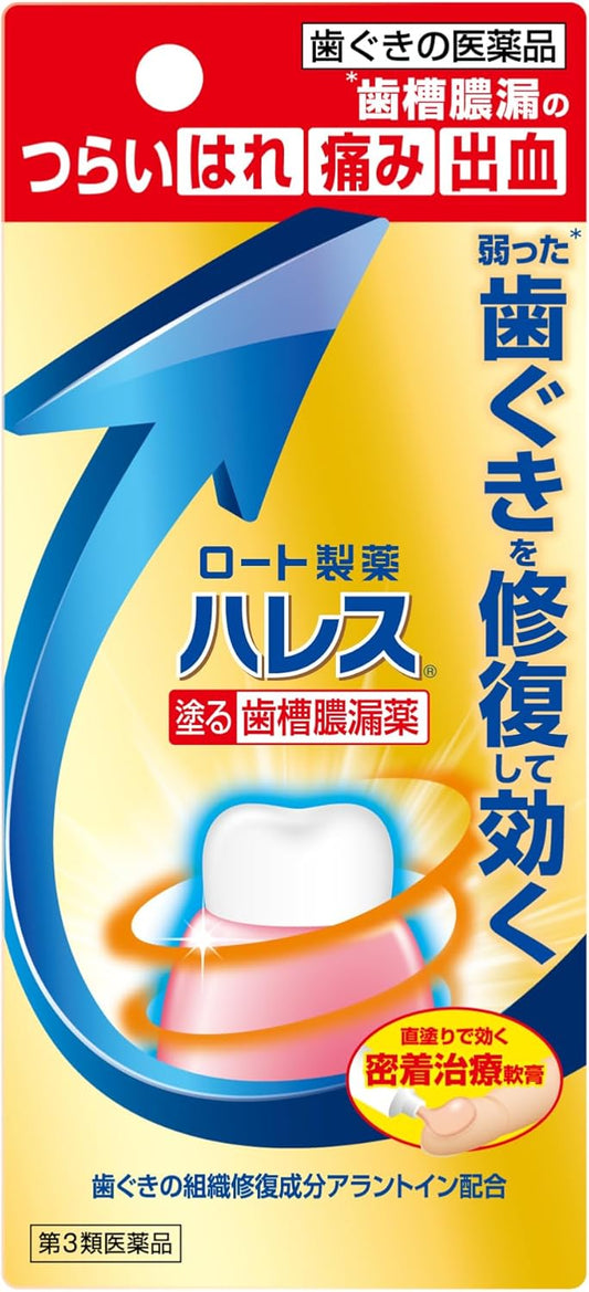 【第3類医薬品】ハレス口内薬 15g