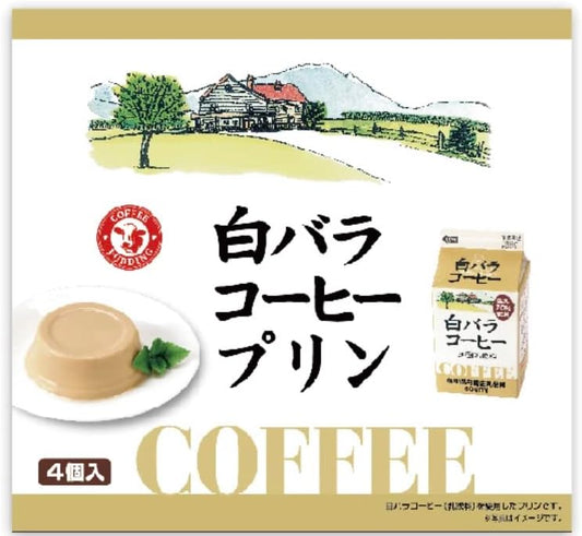 White Rose Coffee Pudding, 4 Pieces, Shimane Prefecture, Tottori Prefecture, Sanin, Souvenir
