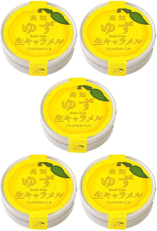 四国健商 高知ゆず 生キャラメル 12粒×5缶 国産 高知県産ゆず使用 爽やか お口直し お菓子 おやつ 間食 ギフト プレゼント なめらか