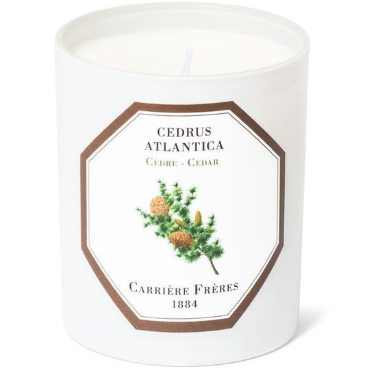 CARRIERE FRERES フレグランスキャンドル シダー - セドラス アトランティカ 185 g - Image 1
