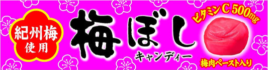 Lion Sweets, Plum Blossom Candy Sticks, 10 x 10 Pieces