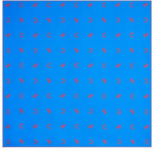 CELINE Square in silk twill - Image 1