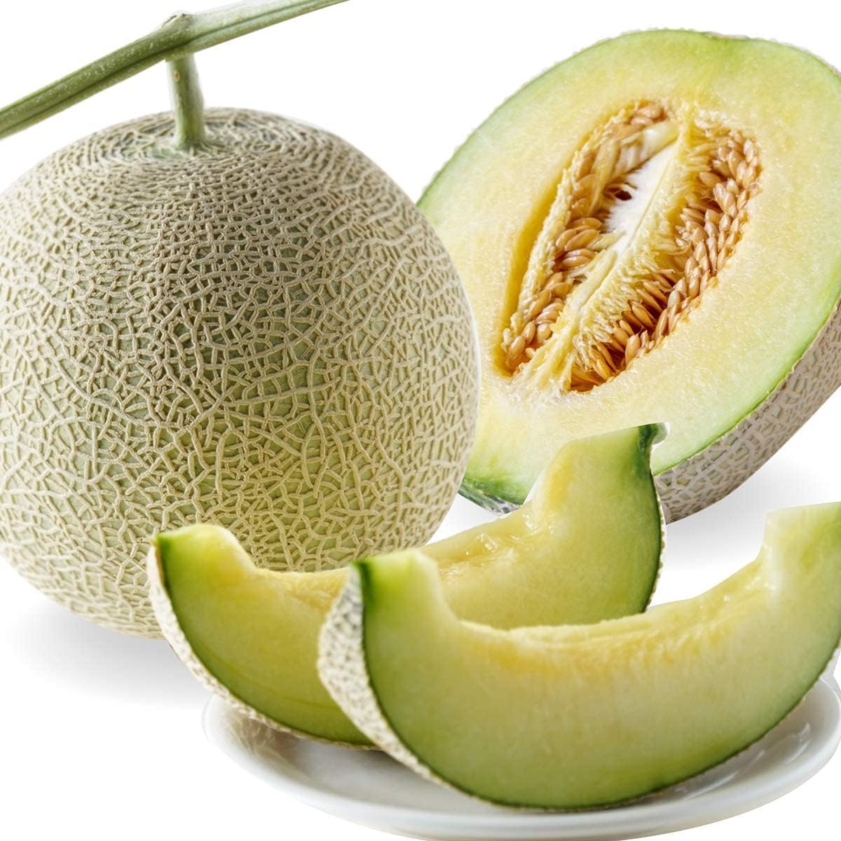 Delicious Cousin Midori from Kochi Prefecture. Melon Fully Ripened Premium Akashi A *Supervised by Vegetable Sommelier, Iron Compatible (Mask Melon)