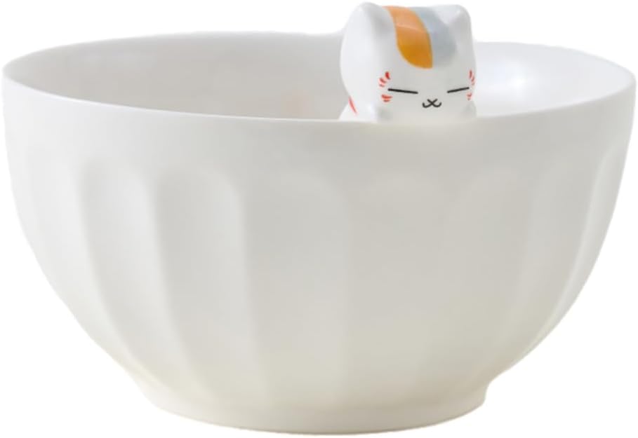 Natsume Book of Friends Nyanko Sensei Okara Rice Bowl