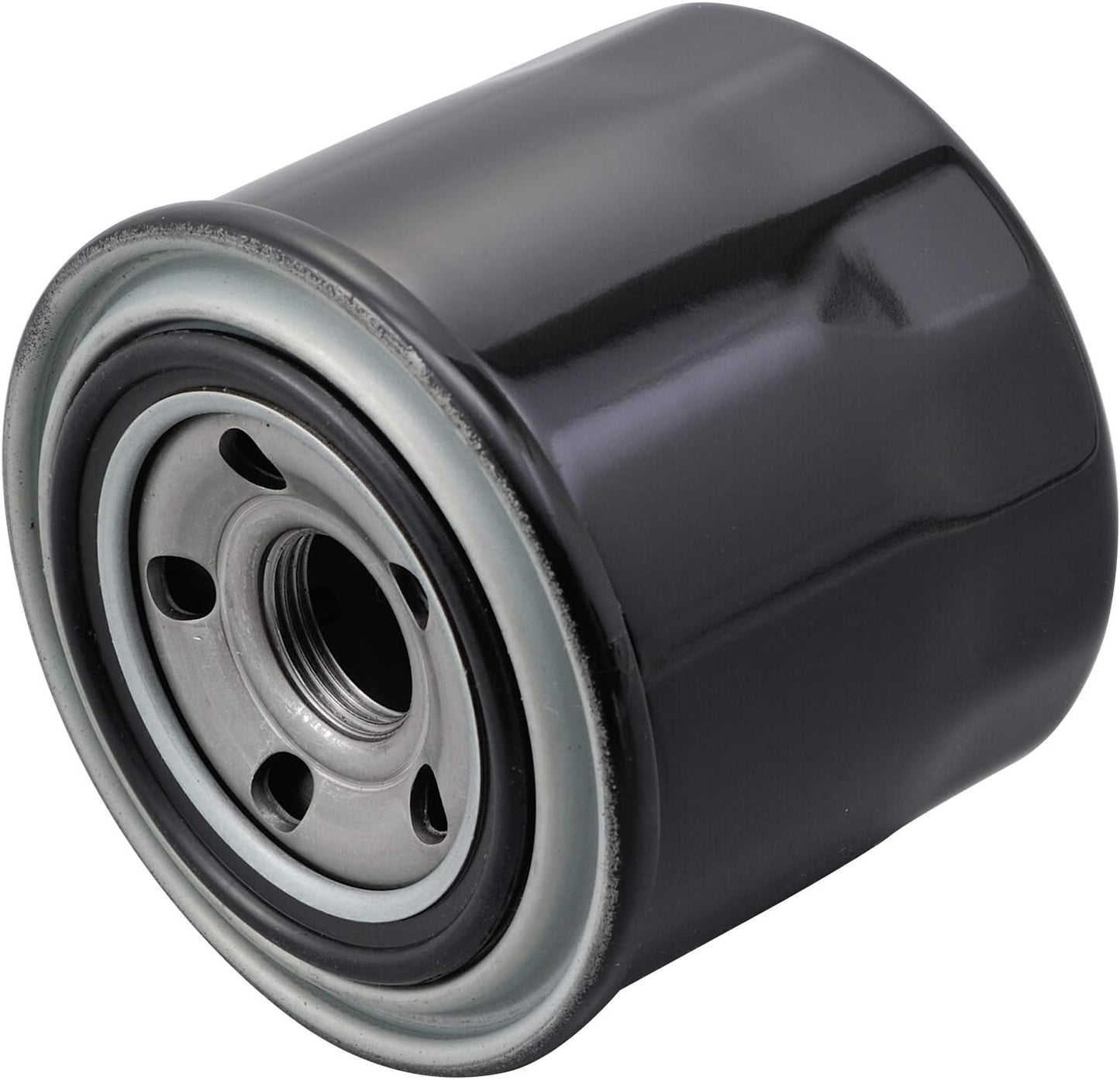 Daytona 98742 Replacement Oil Filter for Motorcycles, Serial Number F-04