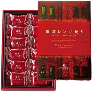 Omiyage Takuhaibin Kanagawa Souvenir Yokokoshi Brick Street (Domestic Travel Japan Kanagawa Souvenir)