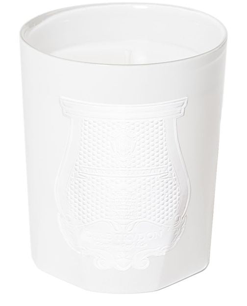 TRUDON センティッドキャンドル ポジターノ 270 g - Image 1