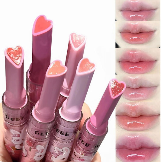 SNS Lovely High Color and Able Lip Plaster (04# Ginko Color)
