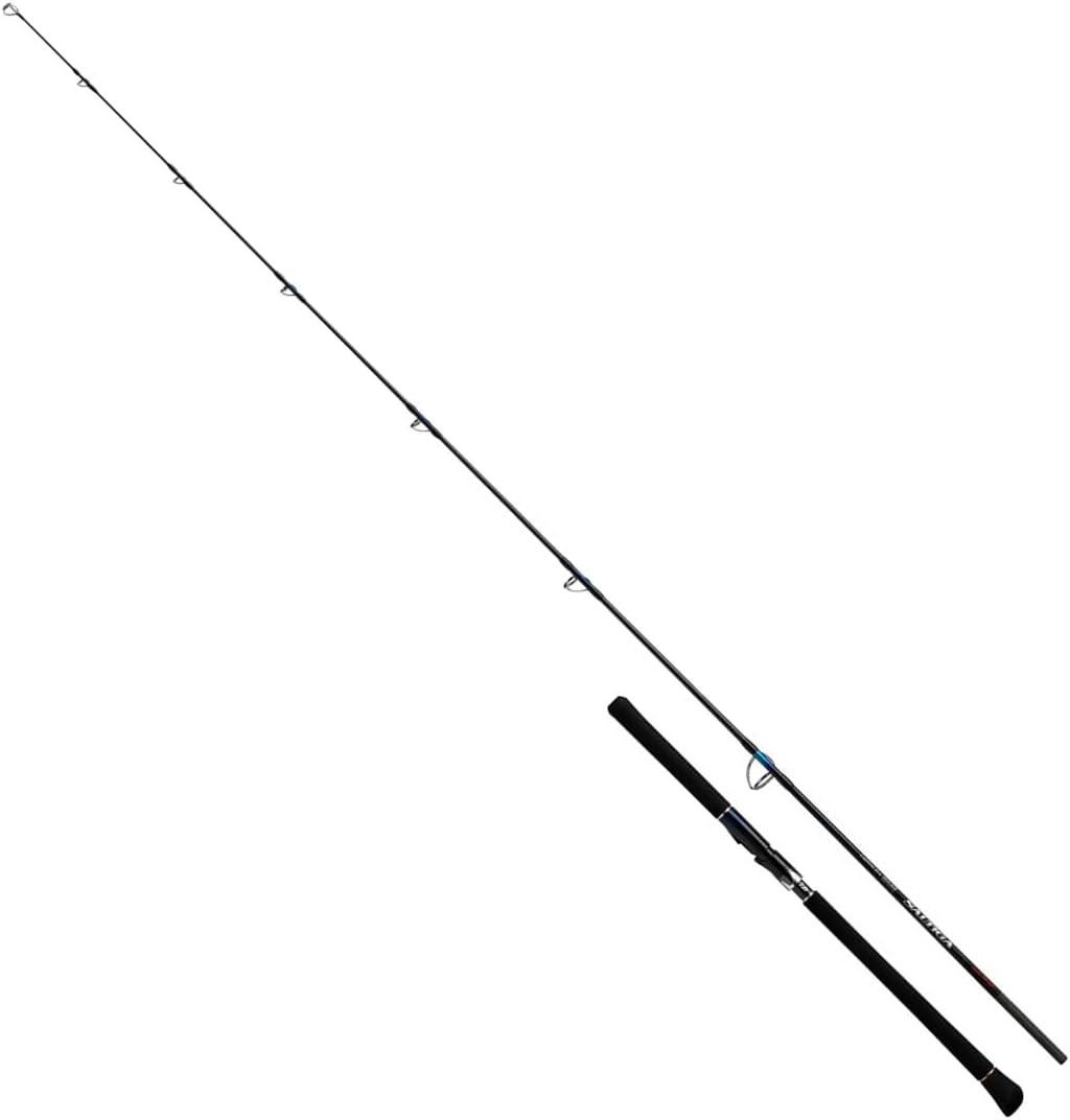 DAIWA Casting Rod, SALTIGA BREAKTHROUGH C83-6/C710-8/C82-8 Various (2024 Model)