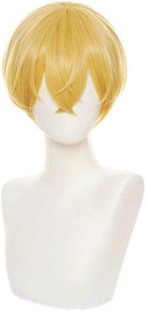 LVMEY Tokyo Revengers Cosplay Wig, Chifuyu Matsuno, Heat Resistant, Disguise Wig, Cosplay Wig, Wig Cosplay Costume, Comic Event, Halloween, Christmas, Cultural Festival, School Festival, Wig Net