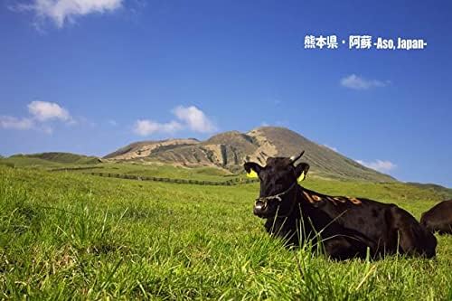 【動物のポストカード】熊本県 阿蘇 草原に憩う黒牛と青空の阿蘇山 はがき お土産 ハガキ 撮影/絶景.com