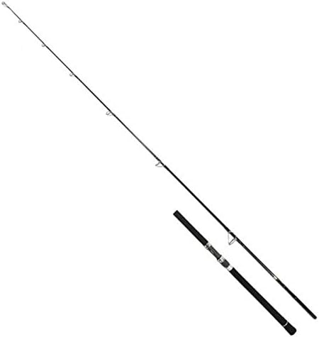 Daiwa VADEL Jigging Rod/Casting Rod, Various