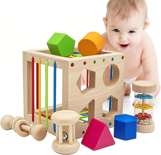 Educational Toy, Shape Sorting Cube, Baby Toy, 3 Years Old, Boys, Girls, Montessori, Wooden Toy, Shape-fitting Puzzle, Early Development, Color, Shape, and Spatial Recognition, Birthday, Present