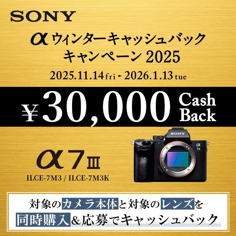 Sony Alpha 7 III Mirrorless Single Lens Digital Camera