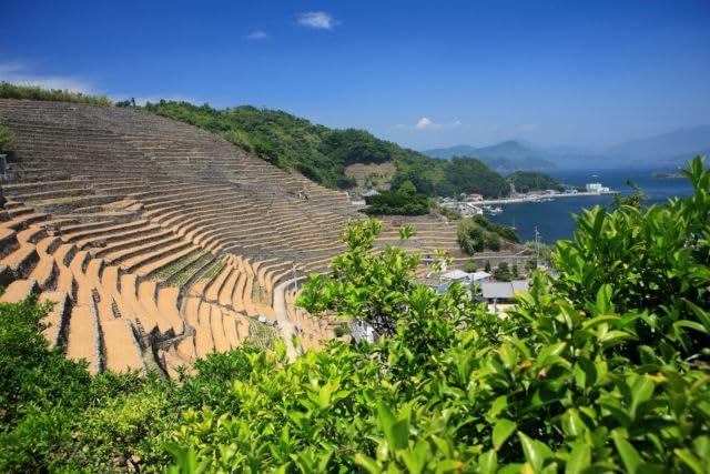 【2027年カレンダー】【日本の風景ポストカード】愛媛県宇和島遊子 段々畑 はがき お土産 ハガキ 撮影/kazukiatuko