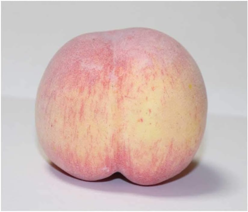Peach Lifelike Model Set of 3 Food Sample Fruit Model (UP)