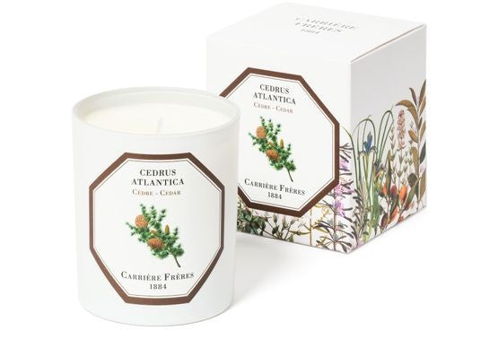 CARRIERE FRERES フレグランスキャンドル シダー - セドラス アトランティカ 185 g - Image 2