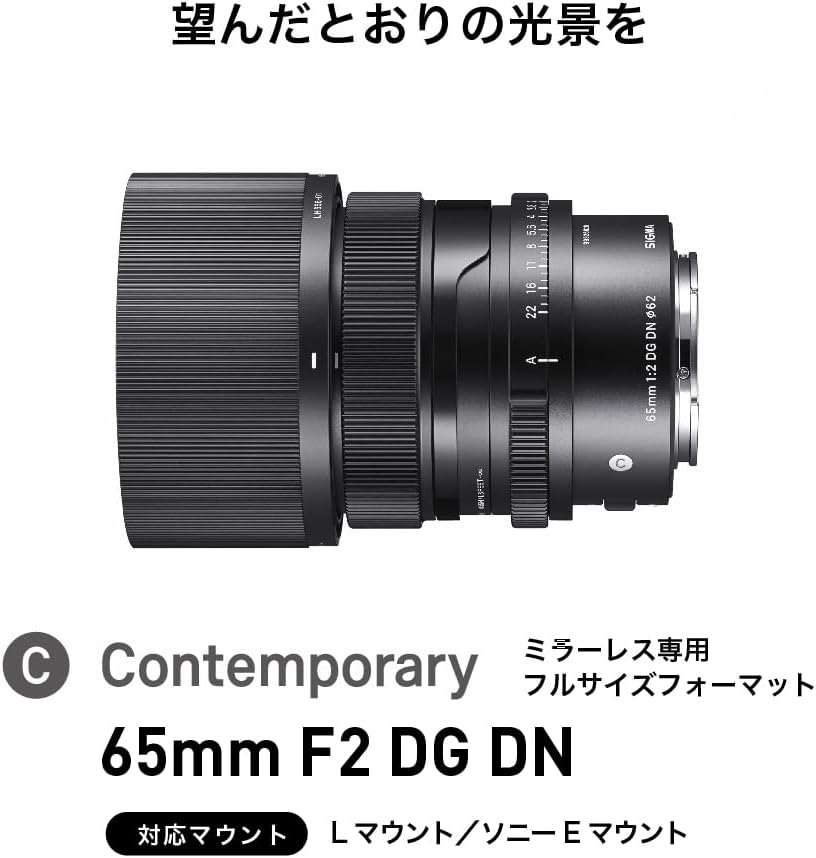 Sigma Sony E-Mount Lens 65mm F2 DG DN Single Focus Telephoto Full Size Contemporary Mirrorless