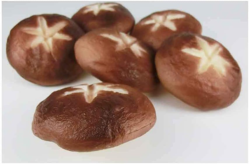 Shiitake Model Shiitake Mushroom 6 Pack Food Sample Vegetable Model