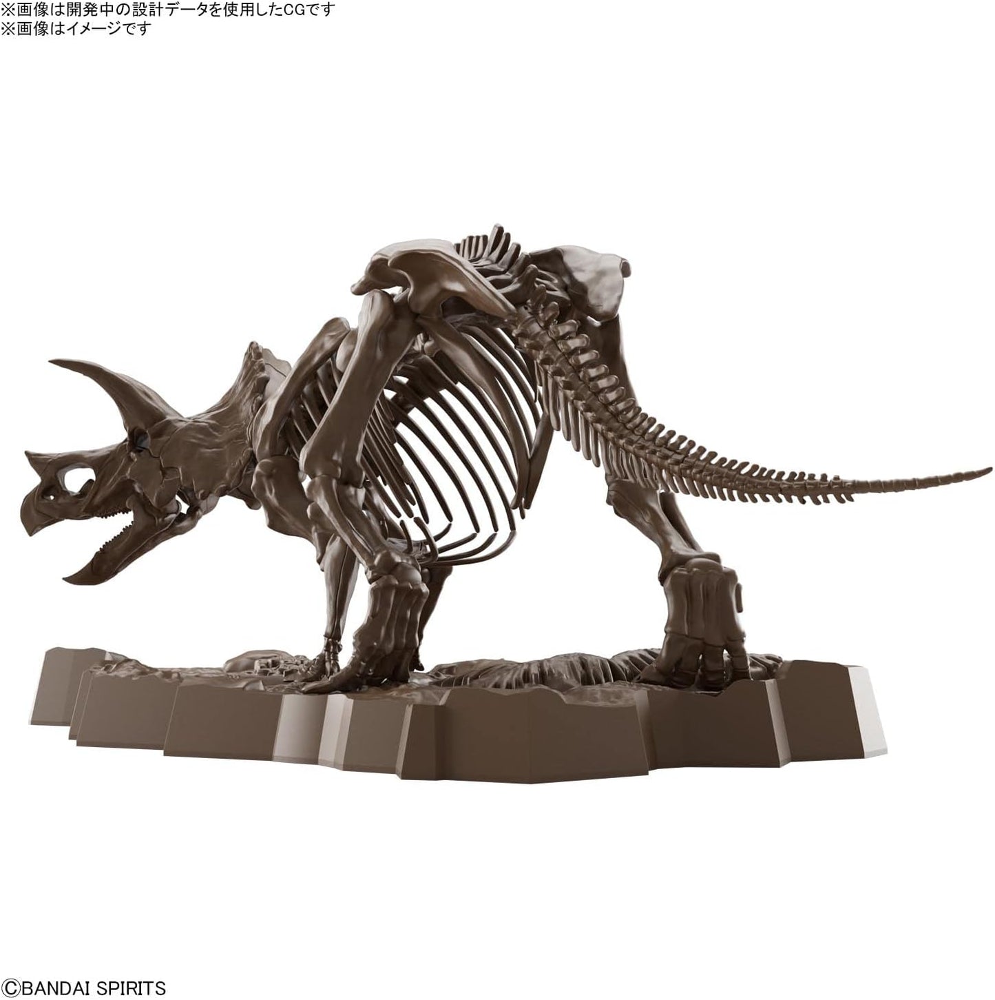 Bandai Spirits (バンダイ スピリッツ) Imaginary Skeleton Triceratops 1/32 Scale Plastic Model