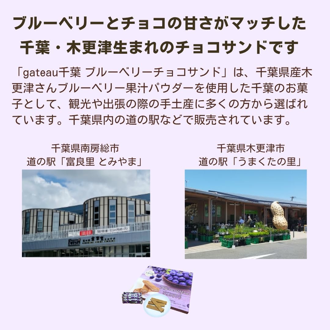 Chiba Souvenir "Blueberry Chocolate Sand", Pack of 20, Uses Blueberries from Chiba Prefecture, Souvenir, Sweets