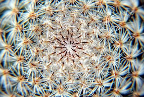 Close Up (10x) Macro Filter Lens for Pentax Wide Angle SMCP-FA 31mm f/1.8 AL