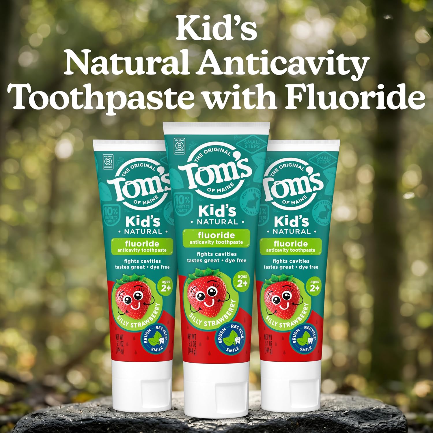 Tom's of Maine Pasta dental con flúor aprobada por la ADA, pasta de dientes natural, sin tintes, sin conservantes artificiales, fresa tonta, 5.1 onzas, paquete de 3 (el embalaje puede variar)