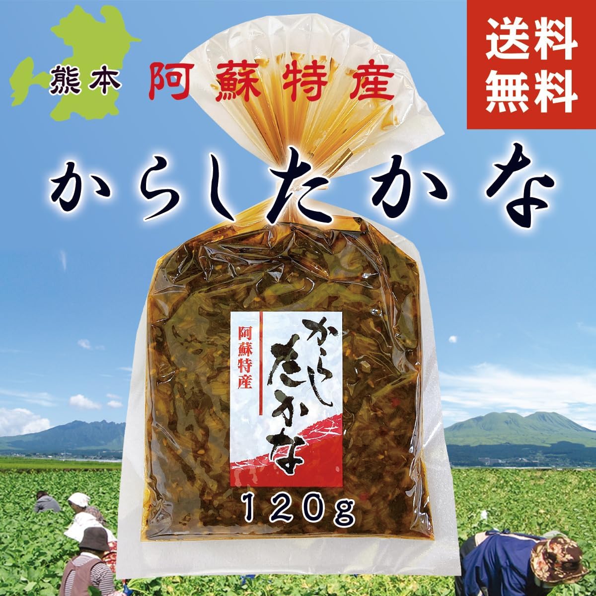 Pickled mustard pickles, 4.2 oz (120 g), Kumamoto pickles, pickles, pickles, pickles, pickles, pickles, pickles, pickles, pickles, pickles, pickles, pickled