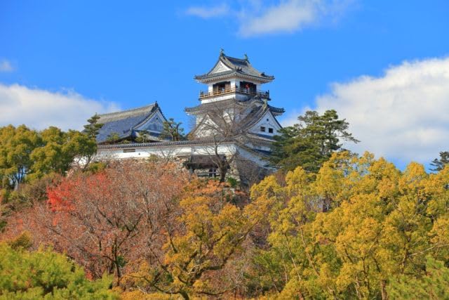 【2027年カレンダー】【日本の風景ポストカード】高知県高知城天守閣と紅葉の眺め はがき お土産 ハガキ 撮影/kazukiatuko