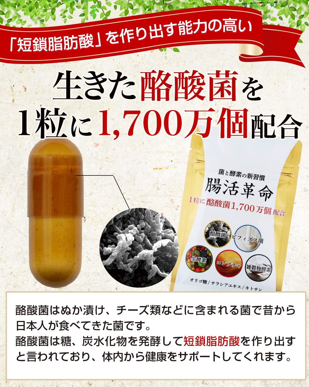 Intestinal Revolution, New Habits for Bacteria and Enzymes, Supplement, Butyric Acid Bacteria, Bifidobacteria, 31 Day Supply