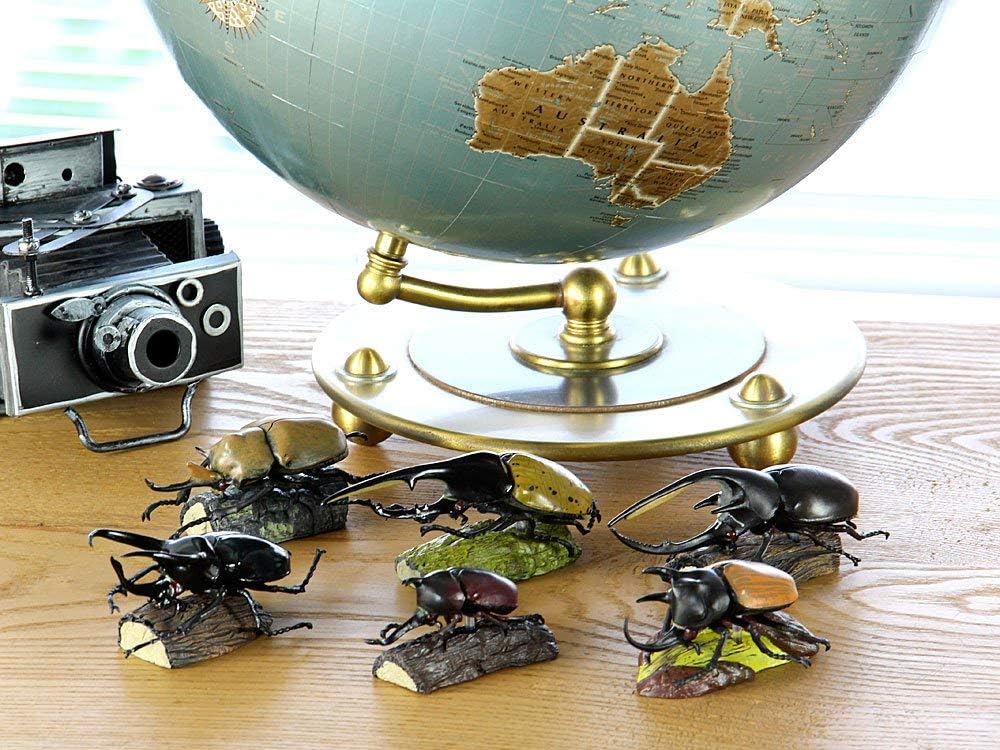 カロラータ 立体図鑑 カブトムシ フィギュア (6種 / 解説書付き) リアル おもちゃ (知育玩具) 誕生日 ギフト プレゼント (食品衛生法クリア) ライナセラスビートル/リアルフィギュアボックス 模型/クリスマス クリスマスプレゼント