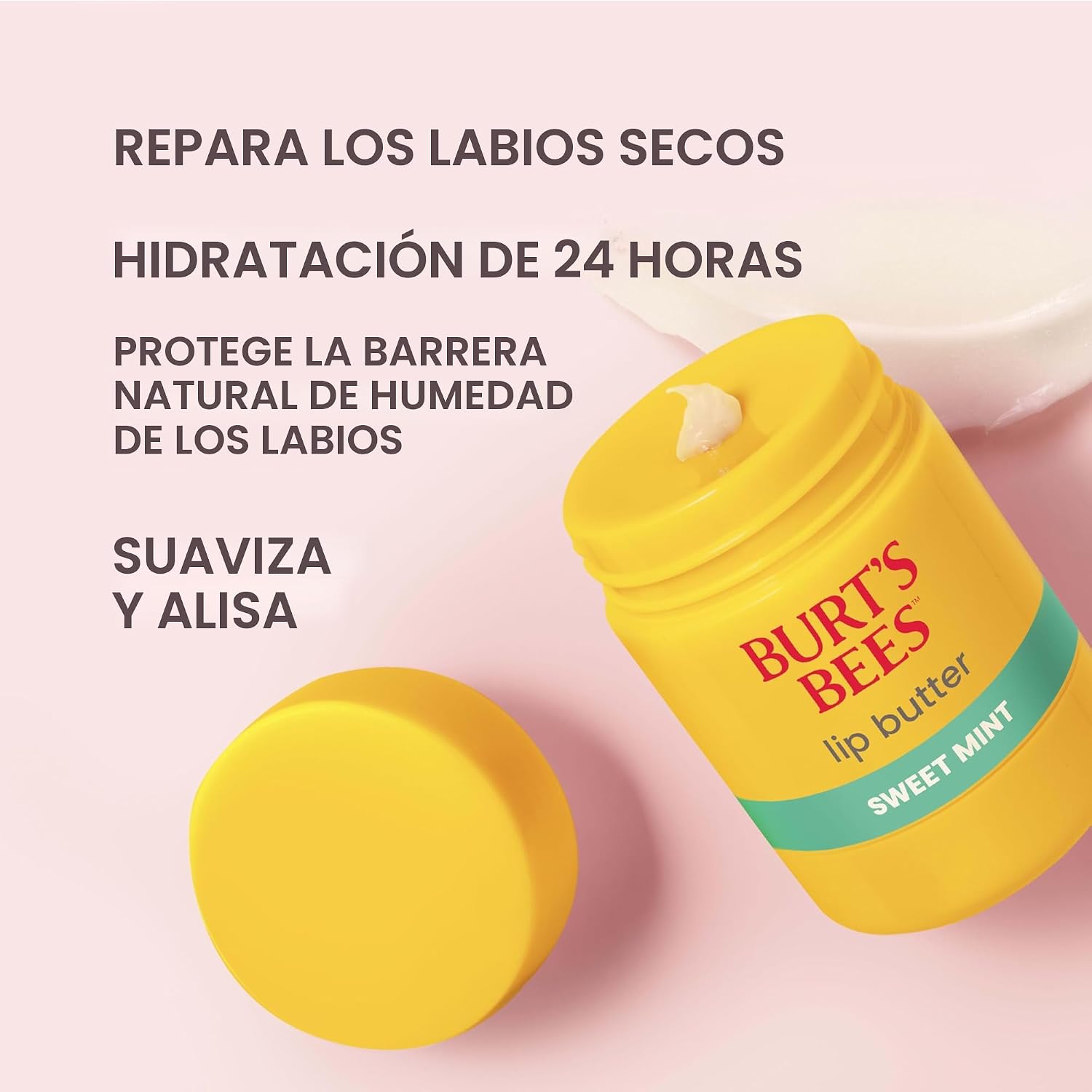 Burt's Bees Mantequilla labial de menta dulce, repara los labios secos, hidratación 24 horas, bloquea la humedad, incluye mantecas de karité y mango, vitamina E rica en antioxidantes, conveniente dispensador de torsión, 0.5 onzas.