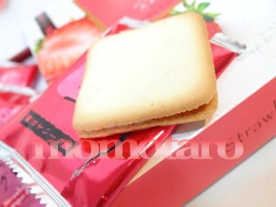 Taiho Bussan Fukuoka Amaou Strawberry Langue de Chat, 10 Pieces