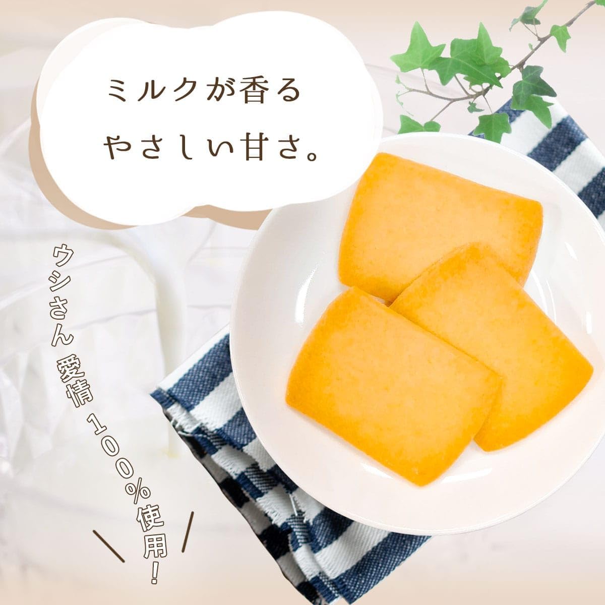 Prefectural Dairy Cooperative Milk Cookies x 6 Boxes (72 Sheets), Souvenir, Milk Cookies, Kagoshima, Western Sweets, White Day, Return, Sweets, Gift