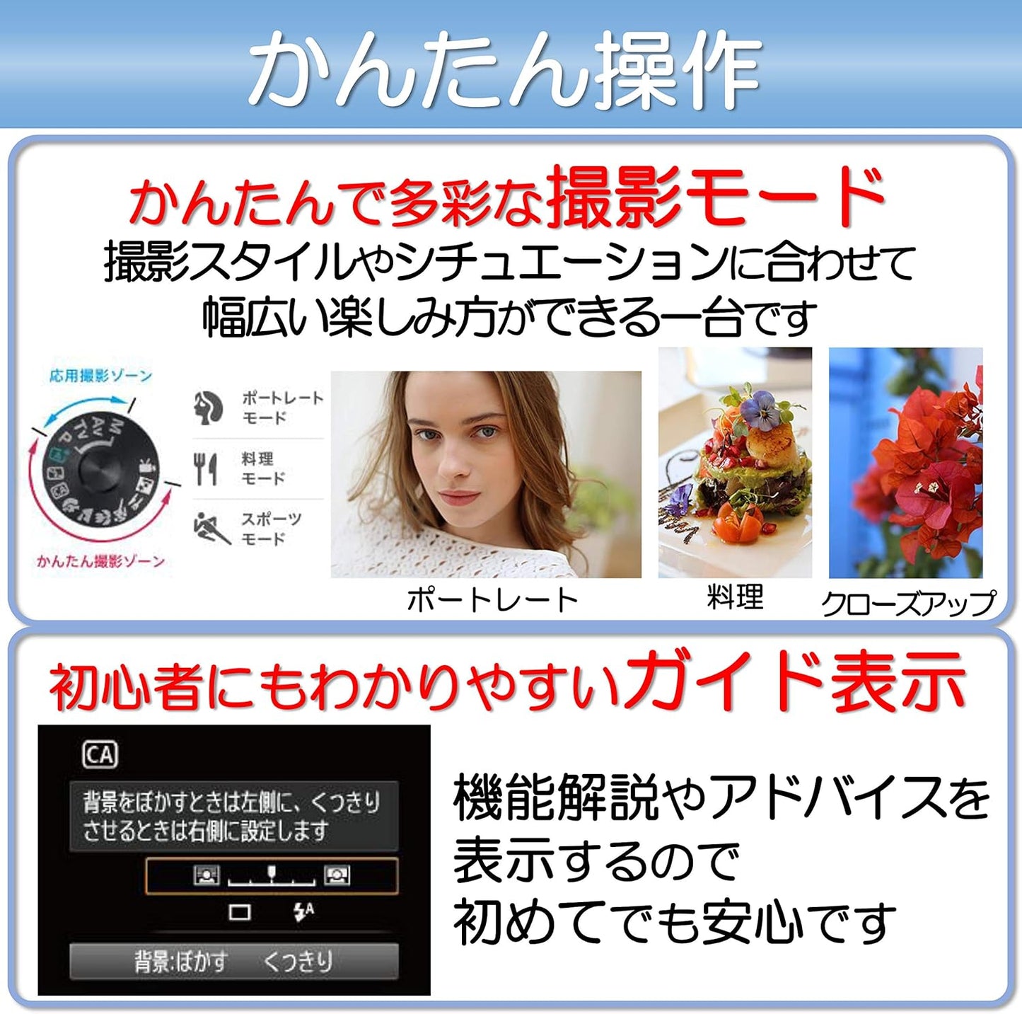 Canon DSLR EOS Kiss X90 Standard Zoom Kit EOSKISSX901855IS2LK