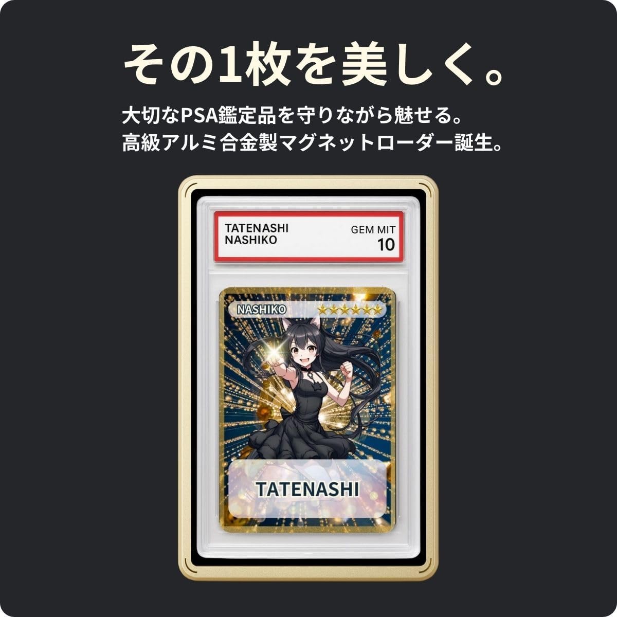 Magnet Loader PSA Appraisal Case Dedicated UV Cut Aluminum Alloy (Black)